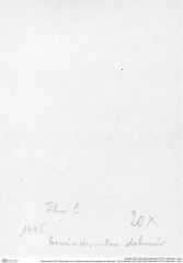 Historisches Foto (Rückseite) von Jurellana tithonia (Schweitzer & Feldmann, 2010) (NHMW-AFW-GEO-BACHMAYER-FOTO-1990-0041-1445)